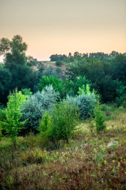 Yaz günbatımı Bir köy yolunda.