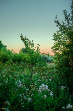 Parkta güzel bir gün batımı