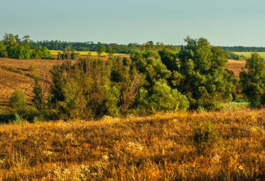 yaz günü kırsal manzara