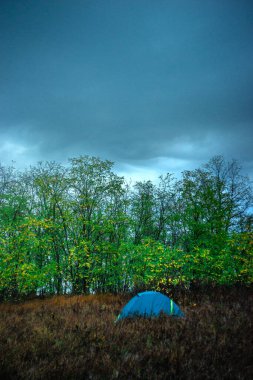 Ormandaki çadır