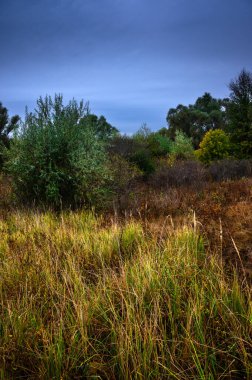 Güzel sonbahar manzarası. Doğa