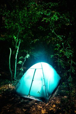 Ormanda kamp çadırı