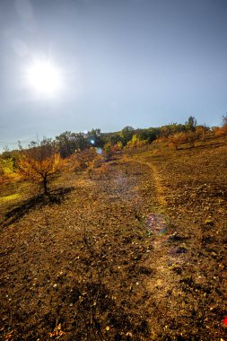 Tarlada toprak yol