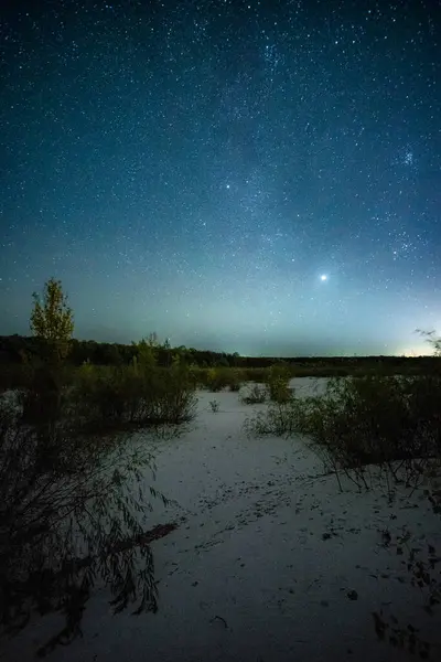 Yıldızlarda ve ağaçlarda gece gökyüzü, Samanyolu ve Samanyolu ile gece manzarası.