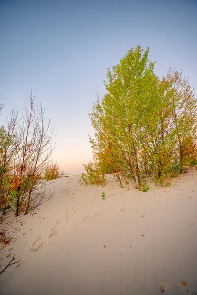 Michigan Gölü 'nde sonbahar renkleri