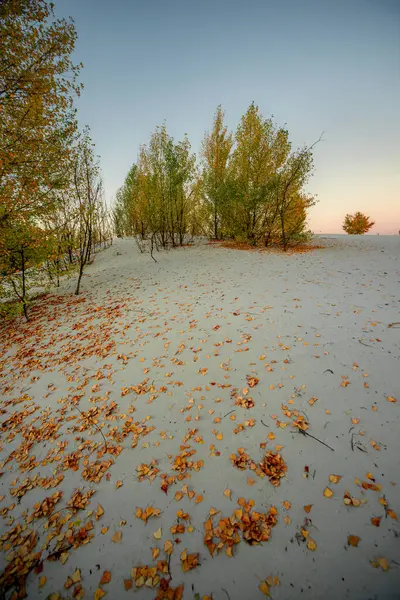 Sabahları sonbahar manzara