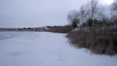 Ormanda kışın ağaçlarla kaplı donmuş göl.