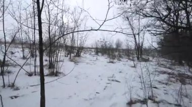 Doğanın güzel manzarası