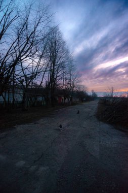 Şehrin güzel manzarası