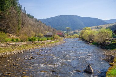 Ormanın arka planında küçük bir nehir ve dağlar..