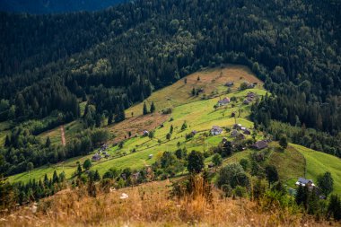 Karpat dağlarında bir köyü olan yeşil dağ vadisi.