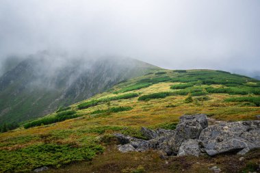 Sisli dağ manzarası