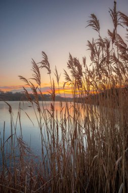 Gölde gün doğumu Önünde güzel çimlerle