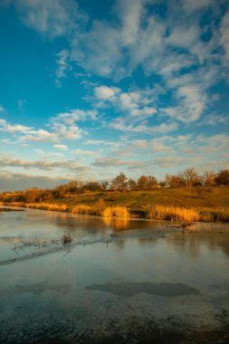 Arkasında bir göl olan güzel bir manzara.