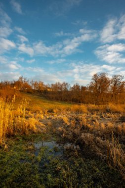 Ormanda güzel bir gün batımı