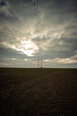 Güç hatları tarlalarda.