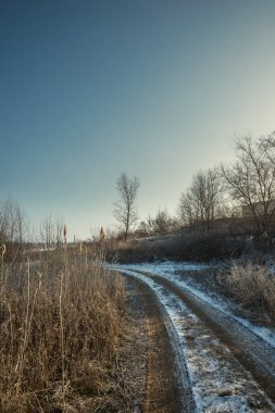 Ormandaki yol. Kış manzarası
