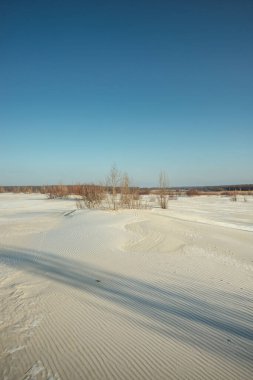 Karla kaplı ağaçlarla kaplı güzel bir kış manzarası. Doğa ve seyahat geçmişi.