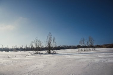 Karla kaplı ağaçlarla kaplı kış manzarası