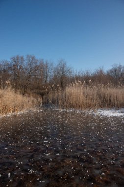 Nehir ve ağaçlarla dolu güzel bir manzara