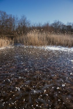 Ormandaki Kış Nehri