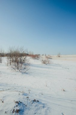 Kışın karlı ve ağaçlı güzel bir manzara.