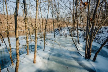 Nehir ve karlı kış manzarası.
