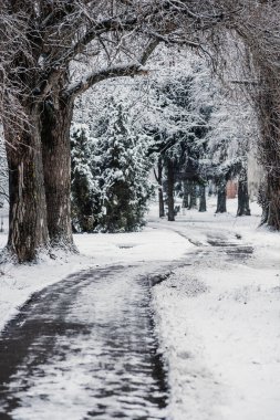 Beyaz karla kaplı yolu olan güzel bir parkın kış manzarası.