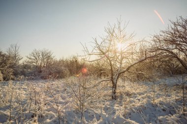 Köyde kış mevsimi