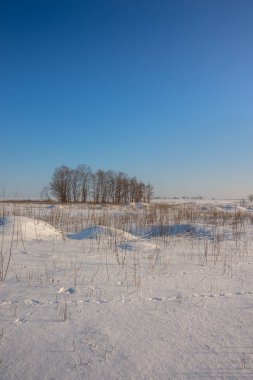 Karda kış manzarası, Rusya 'da çimen ve karla kaplı.