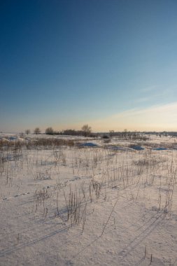 Kar ve ağaçlarla kaplı kış manzarası