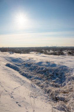 Karlı ağaçlarla kaplı kış manzarası
