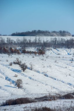 Karlı güzel kış manzarası