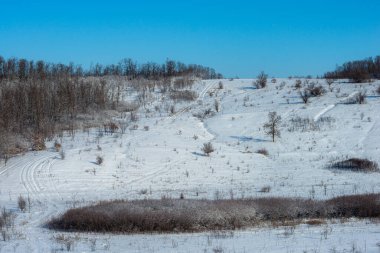 Karla kaplı ağaçlarla kaplı kış manzarası