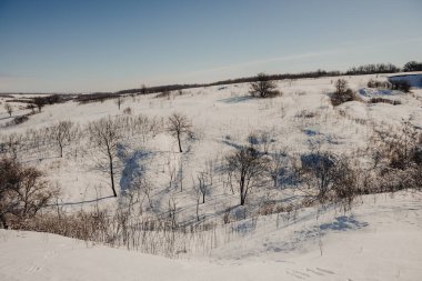 Kış tarlasında kar