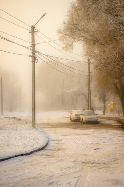 Kış parkında yoğun beyaz sisle kaplı bir yolun dikey görüntüsü.