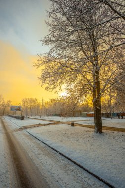 # Güzel bir gün batımı manzarası # # Karlı bir tarlanın ortasında #