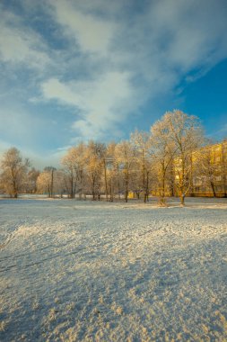 Karla kaplı ağaçlarla kaplı güzel kış manzarası