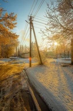 Karla kaplı ağaçlarla kaplı kış manzarası