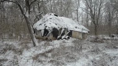 Küçük bir ev karla kaplıdır. Kış manzarası