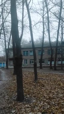 Sonbahar parkı, ağaçlar, yapraklar ve yapraklar.