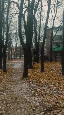 Şehirdeki sonbahar parkı