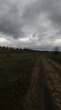Sonbahar ormanındaki yol manzarası.