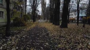 Sarı ve turuncu yapraklı güzel sonbahar parkı.