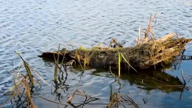 Gölde balık tutmak.