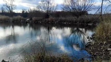 Sonbahar ormanlarında ağaçlarla dolu bir nehir.