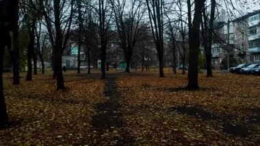 Moskova, Rusya 'da yağmurlu bir günde bir sürü insanın olduğu bir park manzarası.