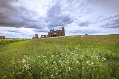 Whitby - 23 Mayıs 2022: Whitby Gotik Manastırı, İngiltere.