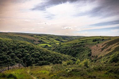 Cornwall - 30 Mayıs 2022: Cornwall, İngiltere 'nin doğal manzarası.