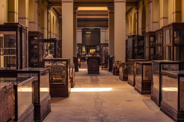 Kahire, Mısır - 13 Kasım 2021: Kahire 'deki Kahire Müzesi' nde mumyalar, Mısır 'daki Kahire Müzesi' nde mumyalar